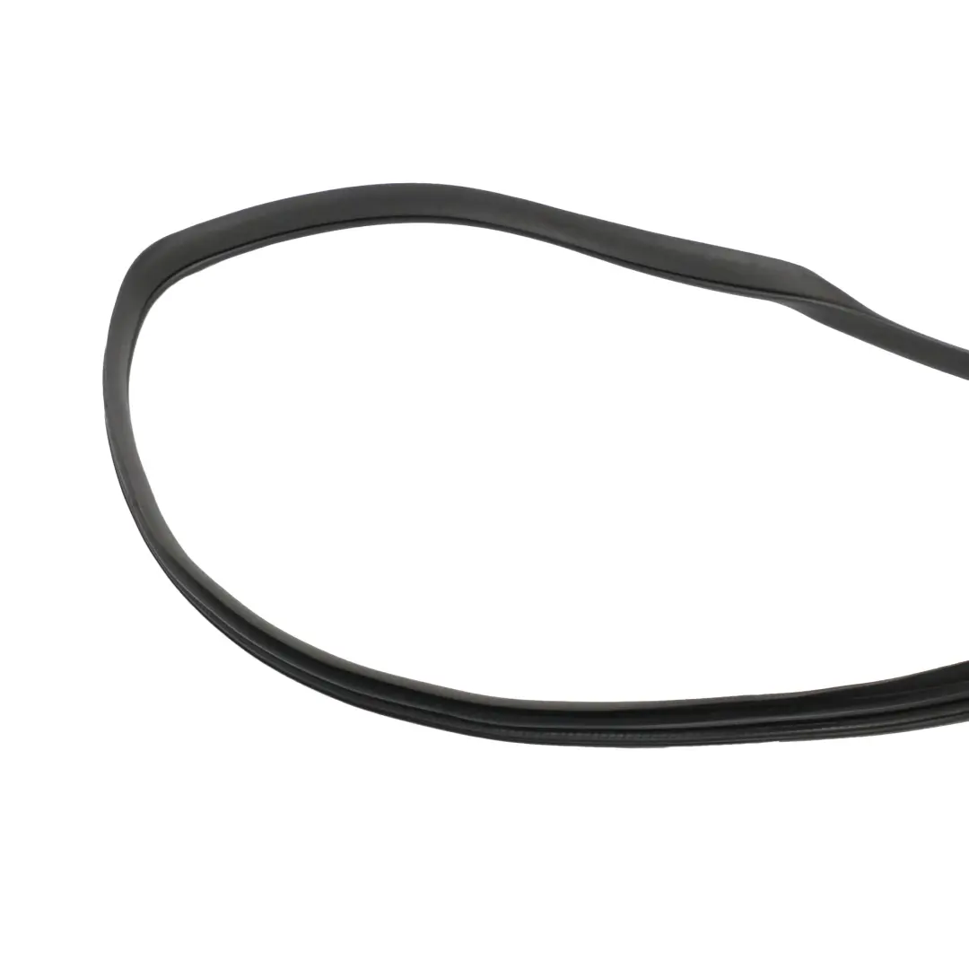 Mercedes W251 Door Gasket Rubber Seal Rear Left Right N/O/S - SKU A2516900176 - Part number a2516900176