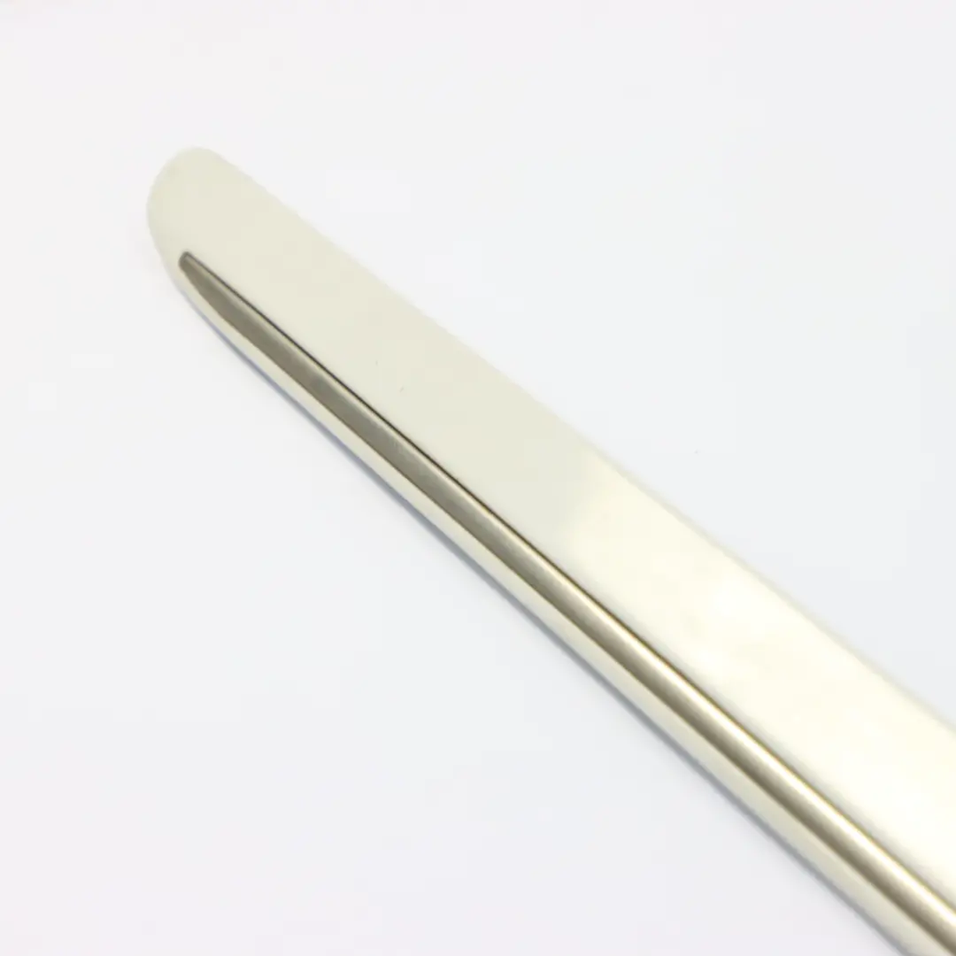 Moldura puerta delantera derecha Blanco Calcita - 650 2516902262 para Mercedes W251 con número de pieza A2516902262 Mercedes W251 Moldura puerta delantera derecha Blanco Calcita - 650 2516902262 - SKU A2516902262-CW - Número de pieza A2516902262