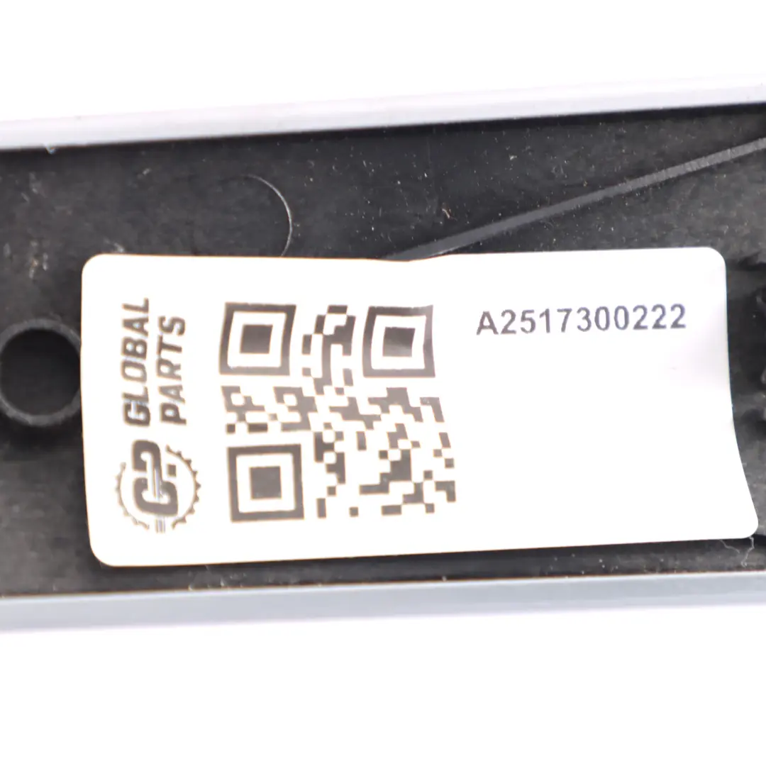 Listwa Ozdobna Wewnętrzna Drzwi Prawy Tył Alu do Mercedes W251 o numerze A2517300222 Mercedes W251 Listwa Ozdobna Wewnętrzna Drzwi Prawy Tył Alu - SKU A2517300222 - Numer Części A2517300222