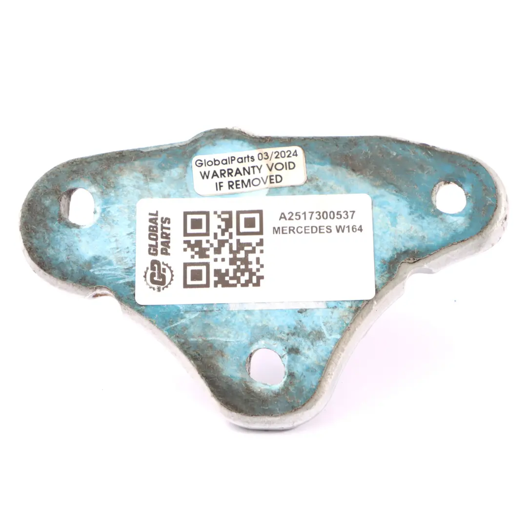 Charnière de porte Mercedes W164 W251 Arrière Gauche Bas Inférieur pour à propos du numéro de pièce A2517300537 Charnière de porte Mercedes W164 W251 Arrière Gauche Bas Inférieur - SKU A2517300537 - Numéro de pièce A2517300537