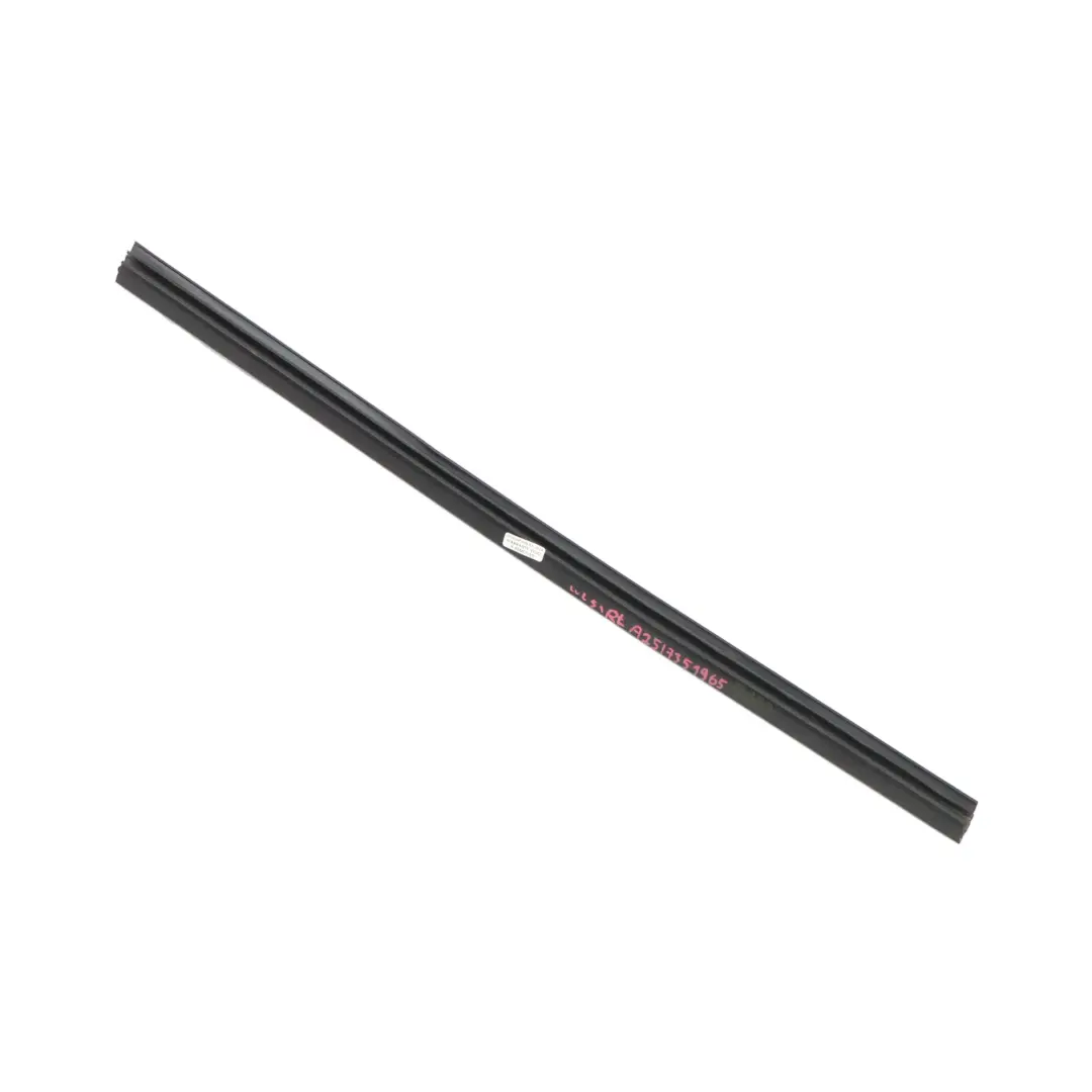 Mercedes W251 Embellecedor de Rail de Ventana Trasera Izquierda - SKU A2517351965 - Número de pieza A2517351965