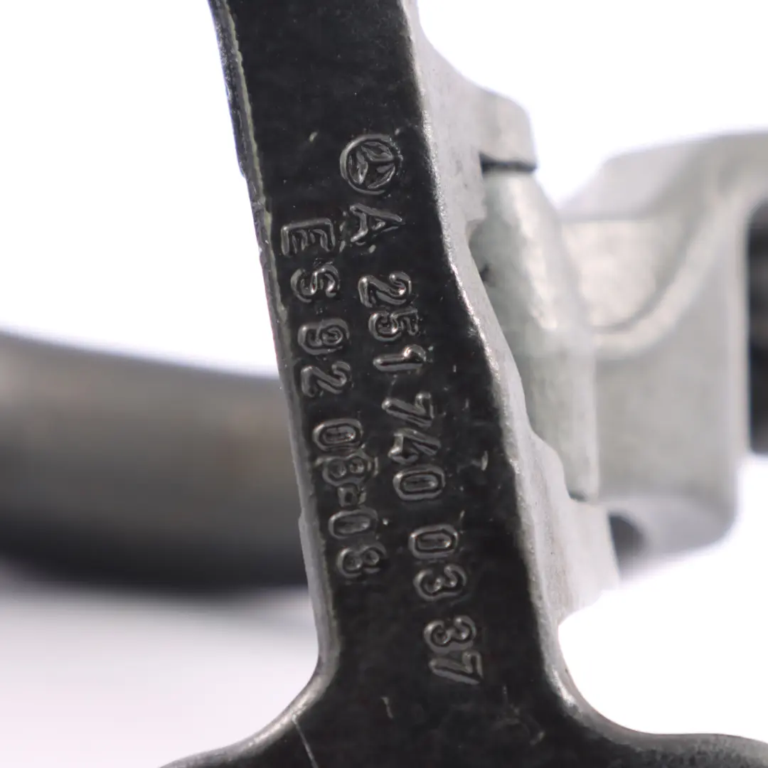 Cerniera portellone bagagliaio sinistro Nero ossidiana 197 per Mercedes W251 con numero di parte A2517400000 Mercedes W251 Cerniera portellone bagagliaio sinistro Nero ossidiana 197 - SKU A2517400000-OB - Numero di parte A2517400000