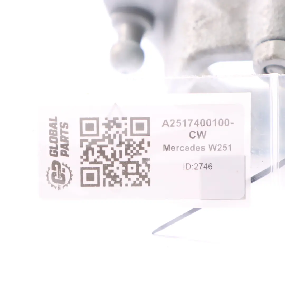 Cerniera portellone coperchio bagagliaio destro Bianco Calcite 650 per Mercedes W251 con numero di parte A2517400100 Mercedes W251 Cerniera portellone coperchio bagagliaio destro Bianco Calcite 650 - SKU A2517400100-CW - Numero di parte A2517400100