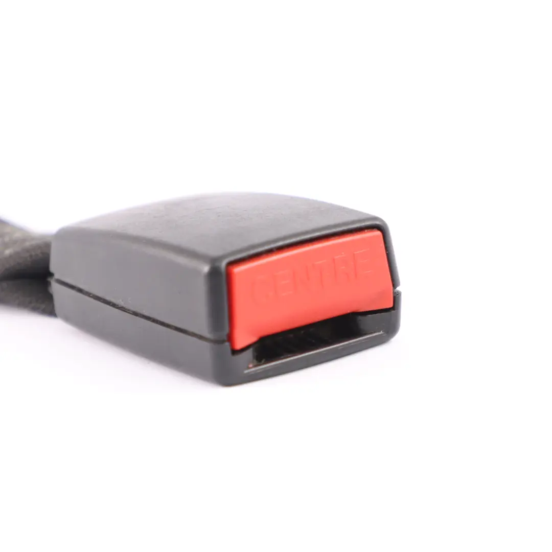 Hebilla del cinturón de seguridad central trasero para Mercedes W251 con número de pieza A2518602469 Mercedes W251 Hebilla del cinturón de seguridad central trasero - SKU A2518602469 - Número de pieza A2518602469