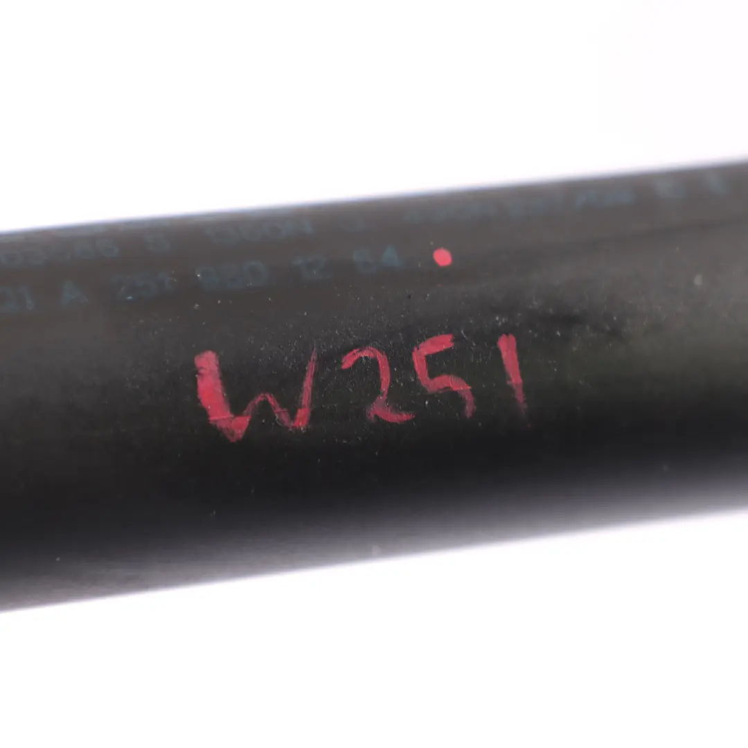 Heckklappe Kofferraumklappe hinten Dämpfer Federbein für Mercedes W251 mit Teilenummer A2519801264 Mercedes W251 Heckklappe Kofferraumklappe hinten Dämpfer Federbein - SKU A2519801264 - Teilenummer A2519801264