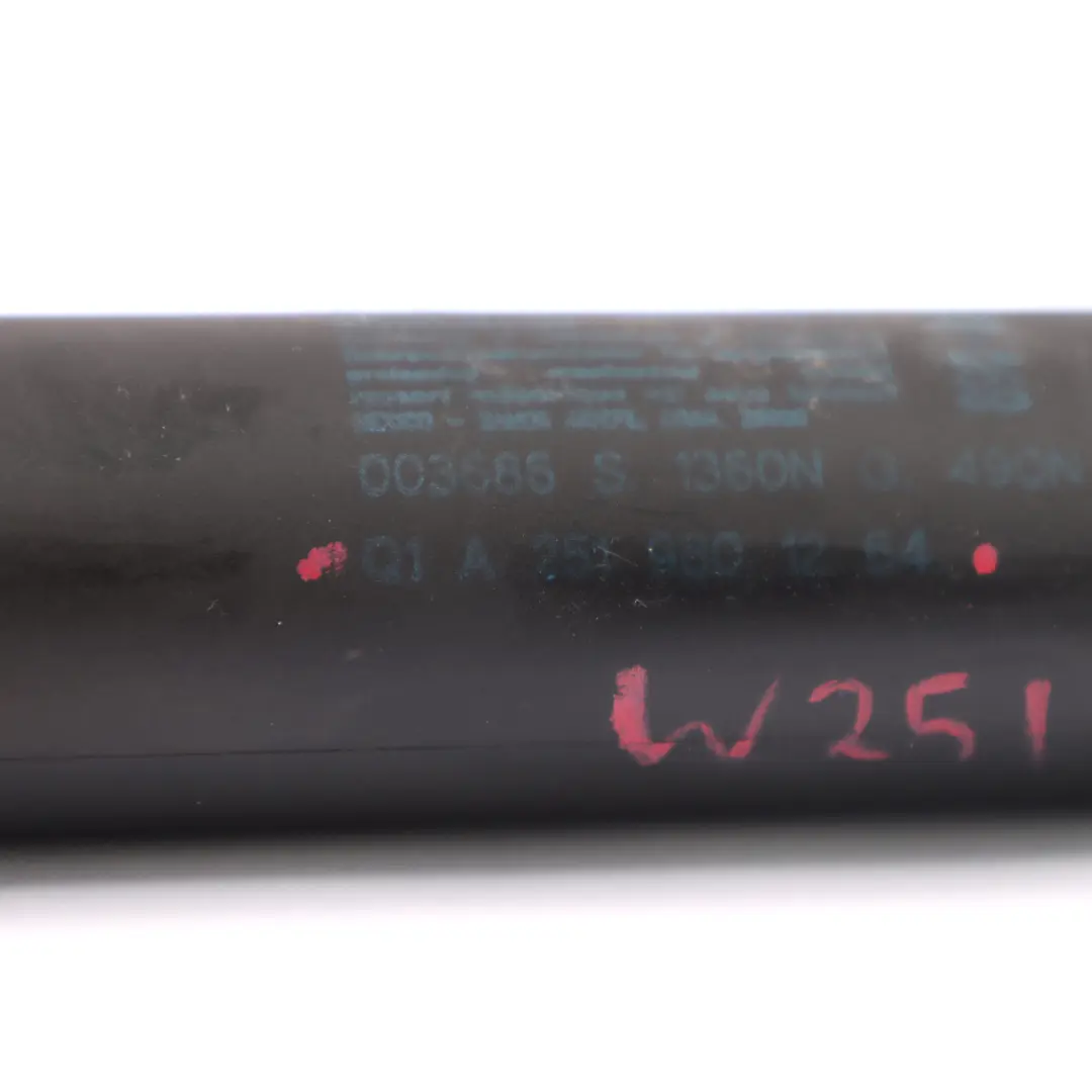 Couvercle coffre de hayon arrière Amortisseur Ressort pour Mercedes W251 à propos du numéro de pièce A2519801264 Mercedes W251 Couvercle coffre de hayon arrière Amortisseur Ressort - SKU A2519801264 - Numéro de pièce A2519801264