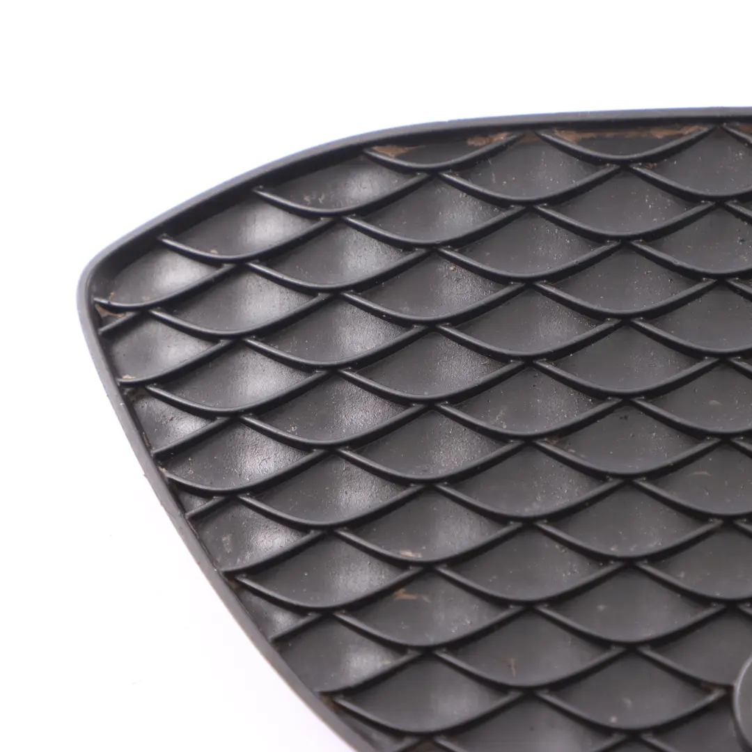 Grille Mercedes X253 Front Bumper Lower Insert Left N/S Cover to with Part number A2538850122 Grille Mercedes X253 Front Bumper Lower Insert Left N/S Cover - SKU A2538850122 - Part number A2538850122