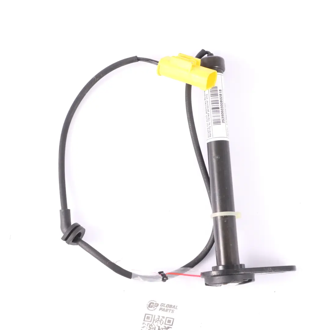  Attuatore Mercedes X253 Attuatore cerniera cofano destro sinistro - SKU A2539060300 - Numero di parte A2539060300