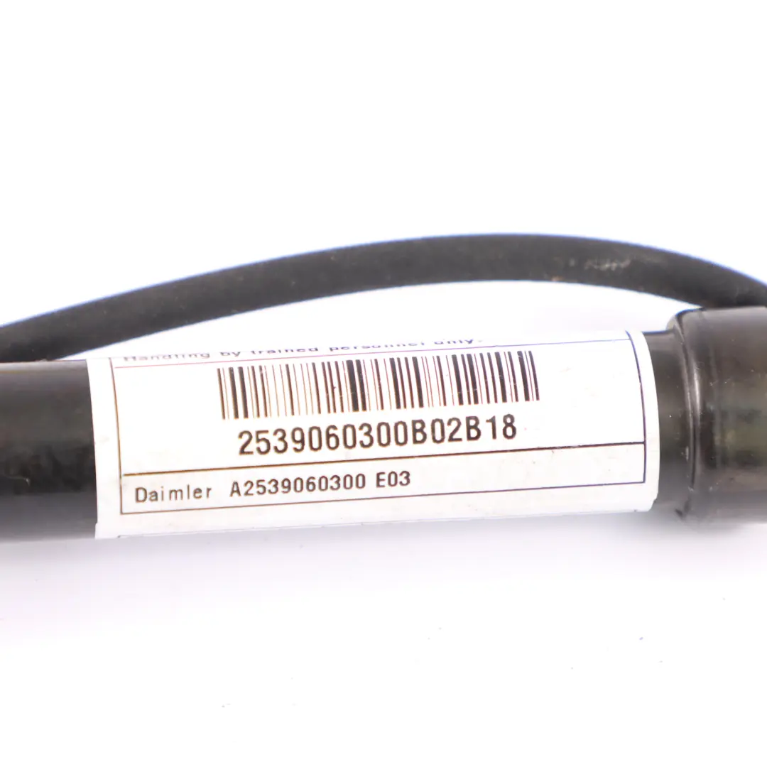 Hauben Scharnier Stellantrieb Rechts Links für Mercedes X253 Motor mit Teilenummer A2539060300 Mercedes X253 Motor Hauben Scharnier Stellantrieb Rechts Links - SKU A2539060300 - Teilenummer A2539060300