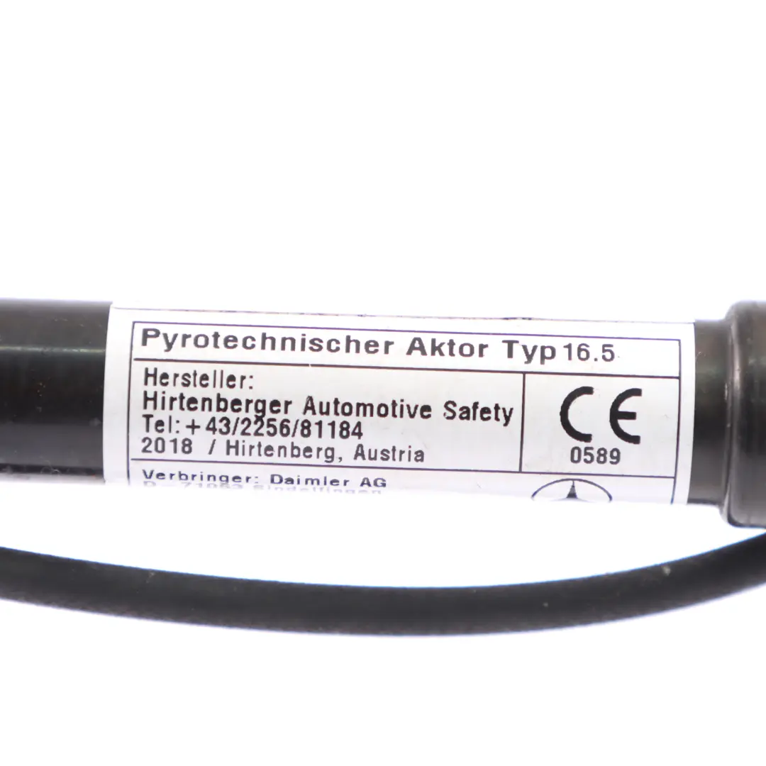  Attuatore Mercedes X253 Attuatore cerniera cofano destro sinistro - SKU A2539060300 - Numero di parte A2539060300