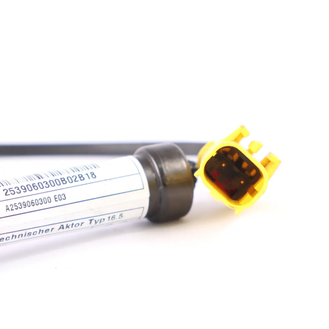 Siłownik Zawiasu Maski Prawy Lewy do Mercedes X253 GLC 200d o numerze A2539060300 Mercedes X253 GLC 200d Siłownik Zawiasu Maski Prawy Lewy - SKU A2539060300 - Numer Części A2539060300