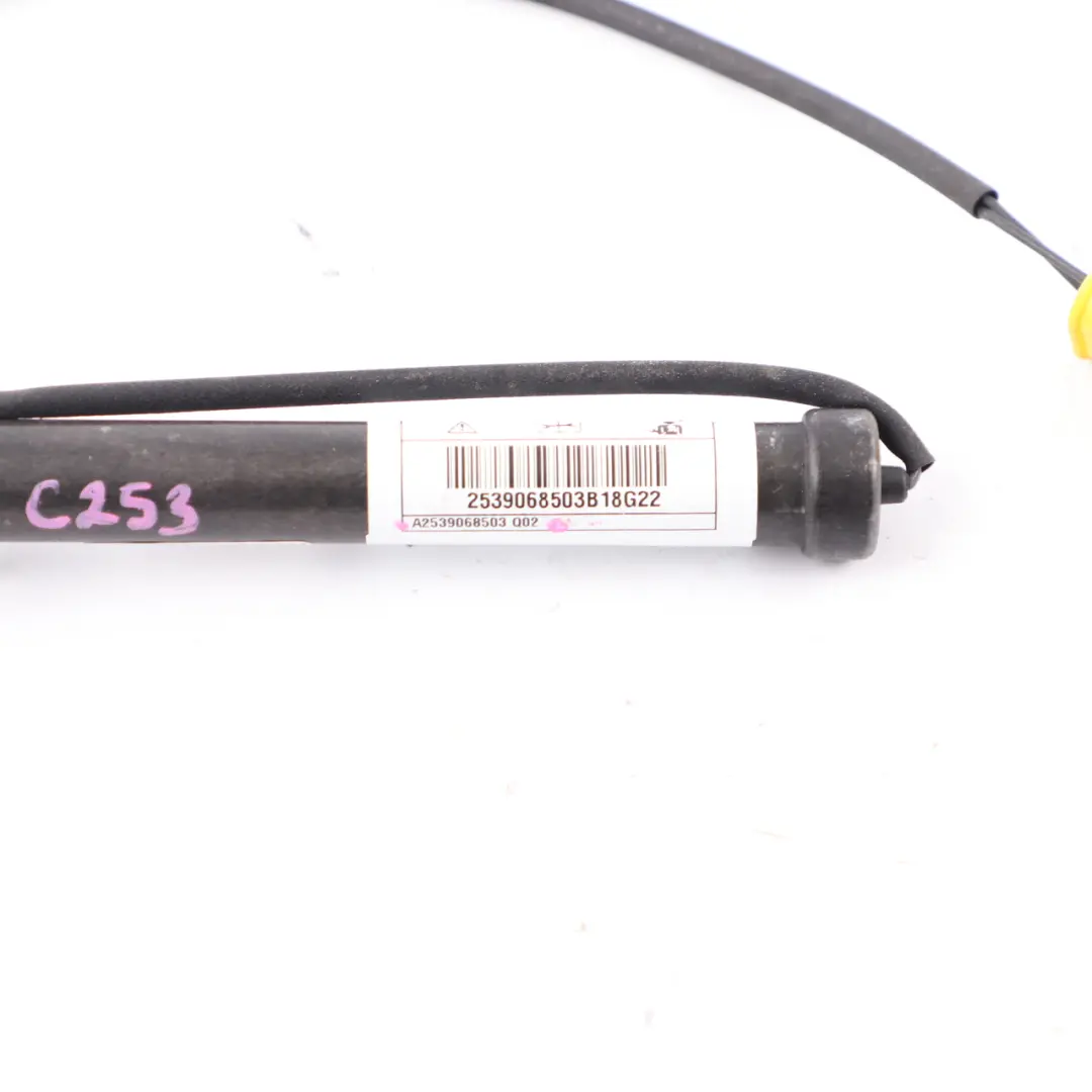 W253 Actionneur capot Protection piétons Gauche Droite pour Mercedes à propos du numéro de pièce A2539068503 Mercedes W253 Actionneur capot Protection piétons Gauche Droite - SKU A2539068503 - Numéro de pièce A2539068503