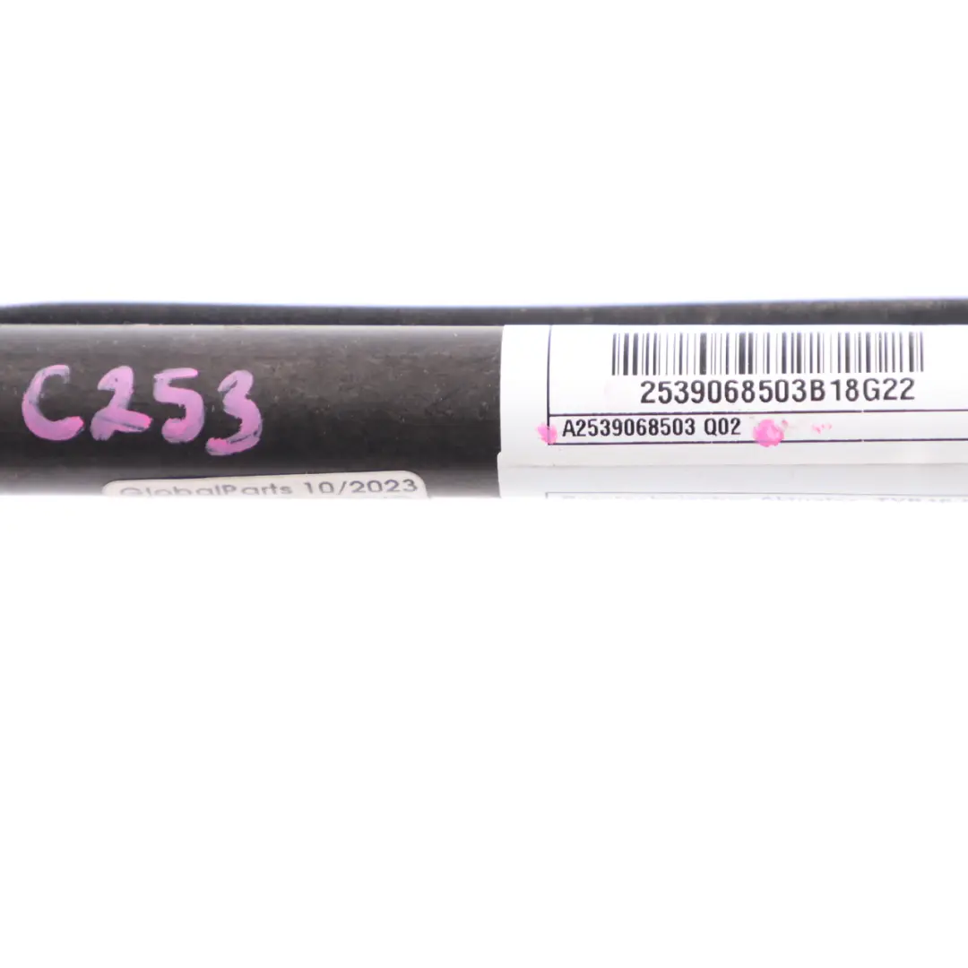 Mercedes W253 Actionneur capot Protection piétons Gauche Droite - SKU A2539068503 - Numéro de pièce A2539068503