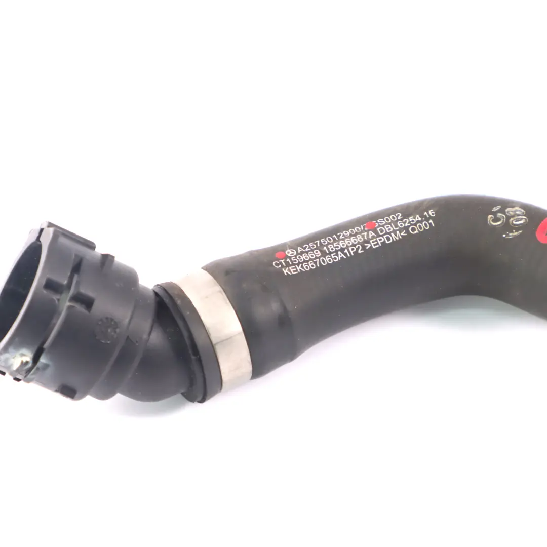Entlüftungsleitung Mercedes W213 Diesel M656 Kühlwasserschlauch für mit Teilenummer A2575012900 Entlüftungsleitung Mercedes W213 Diesel M656 Kühlwasserschlauch - SKU A2575012900 - Teilenummer A2575012900