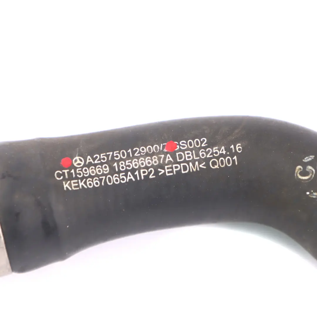 Bleed Line Mercedes W213 Diesel M656 Coolant Water Hose to with Part number A2575012900 Bleed Line Mercedes W213 Diesel M656 Coolant Water Hose - SKU A2575012900 - Part number A2575012900