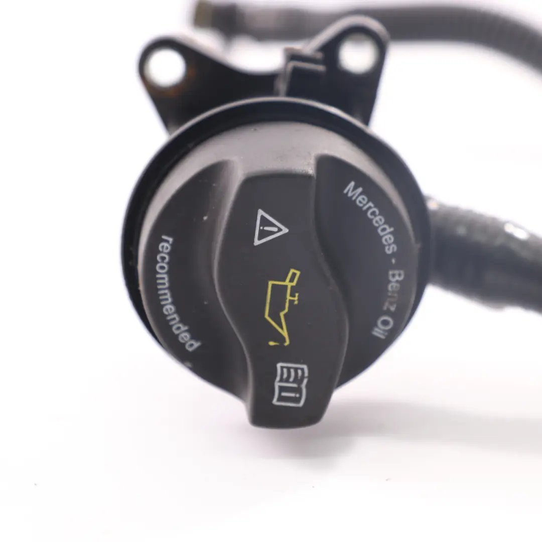 Tubo dell'olio motore Mercedes W177 M260 AMG Tubo flessibile per con numero di parte A2600104900 Tubo dell'olio motore Mercedes W177 M260 AMG Tubo flessibile - SKU A2600104900 - Numero di parte A2600104900