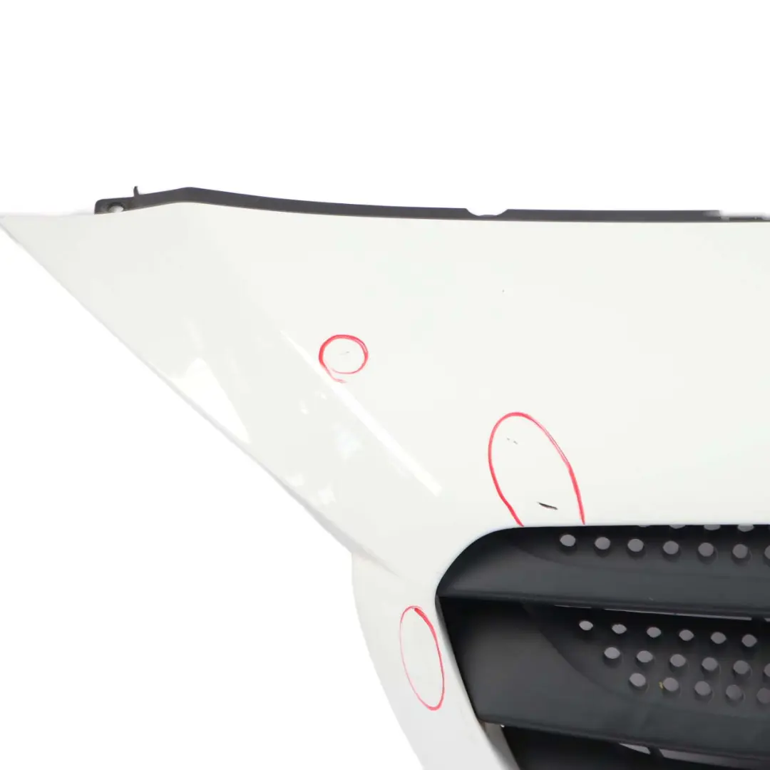 Radiator Grille Front Hood Bonnet Panel Chrome Alpine White to Mercedes Citan W415 with Part number A4158870301 Mercedes Citan W415 Radiator Grille Front Hood Bonnet Panel Chrome Alpine White - SKU A4158870301-ARW - Part number A4158870301