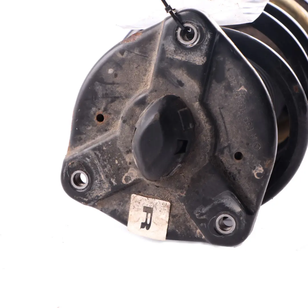 Ressort D'Amortisseur Avant Droit Mercedes Vito W447 - SKU A4473204538 - Numéro de pièce A4473205538