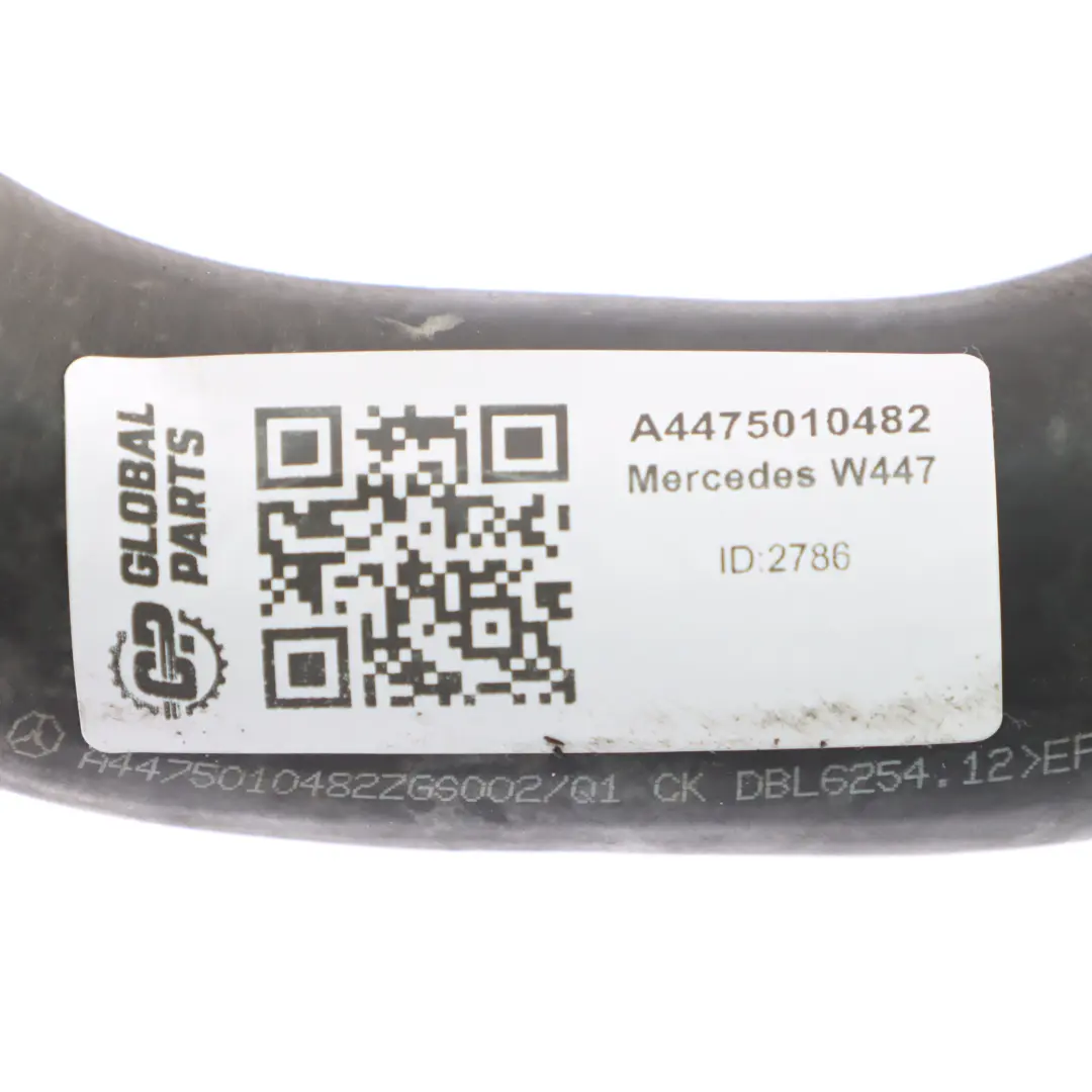 Manguera de refrigerante Mercedes W447 OM651 Radiador Línea Motor para con número de pieza A4475010482 Manguera de refrigerante Mercedes W447 OM651 Radiador Línea Motor - SKU A4475010482 - Número de pieza A4475010482