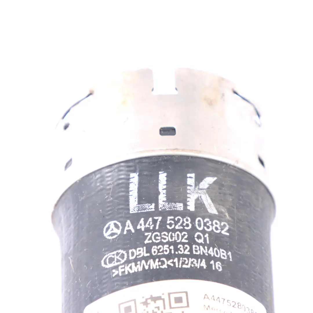 Schlauch Mercedes W447 OM651 Ladeluftkühler Schlauch Rechts für mit Teilenummer A4475280382 Schlauch Mercedes W447 OM651 Ladeluftkühler Schlauch Rechts - SKU A4475280382 - Teilenummer A4475280382