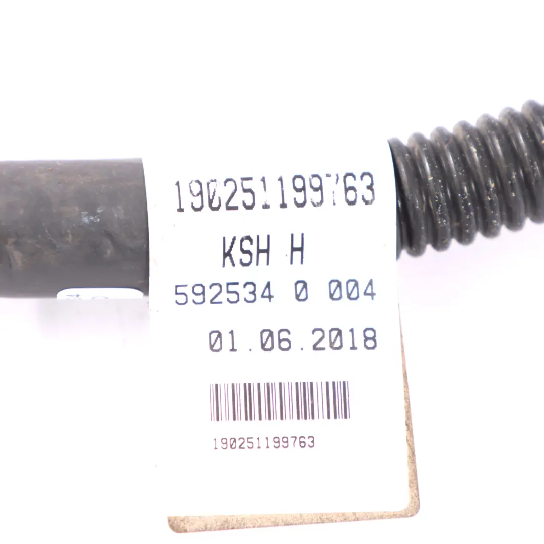 Cable batería Mercedes Vito W447 Diesel OM651 Alternador Cableado para con número de pieza A4475406453 Cable batería Mercedes Vito W447 Diesel OM651 Alternador Cableado - SKU A4475406453 - Número de pieza A4475406453