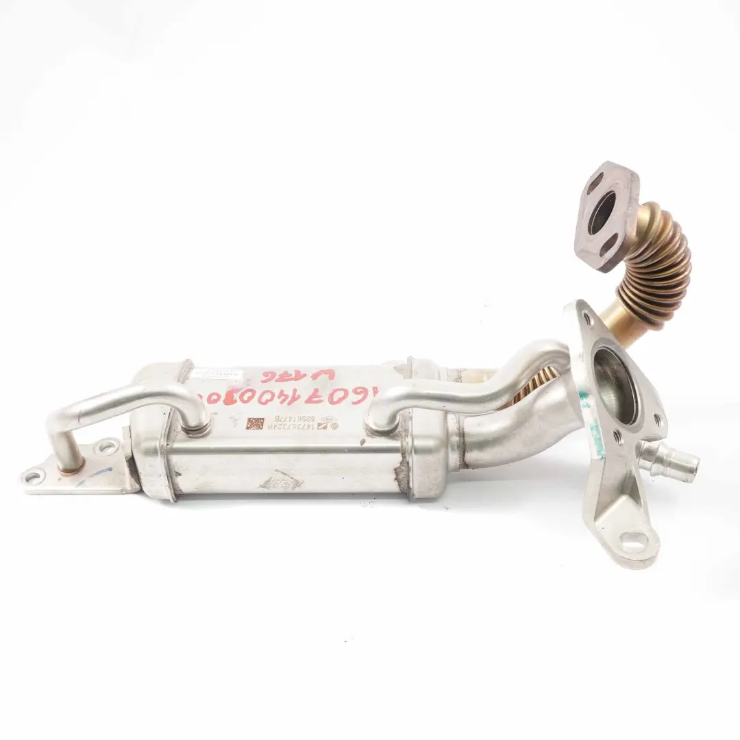 Raffreddatore Scarico EGR Mercedes W176 W246 Calore OM607 Diesel 147357324R per con numero di parte A6071400300 Raffreddatore Scarico EGR Mercedes W176 W246 Calore OM607 Diesel 147357324R - SKU A6071400300 - Numero di parte A6071400300