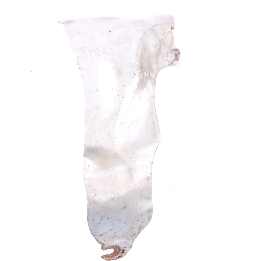  Heat Shield Mercedes W164 X164 Diesel OM629 Left Turbocharger Plate - SKU A6290900134 - Part number A6290900134