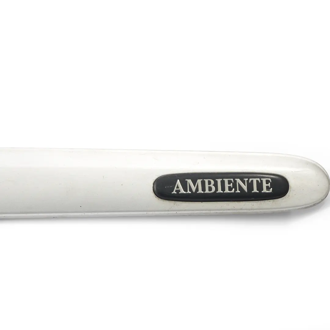 Mercedes W639 Door Moulding Strip Cover Front Right O/S Brilliant Silver - 9744 - SKU A6396900562-BRS - Part number A6396900562