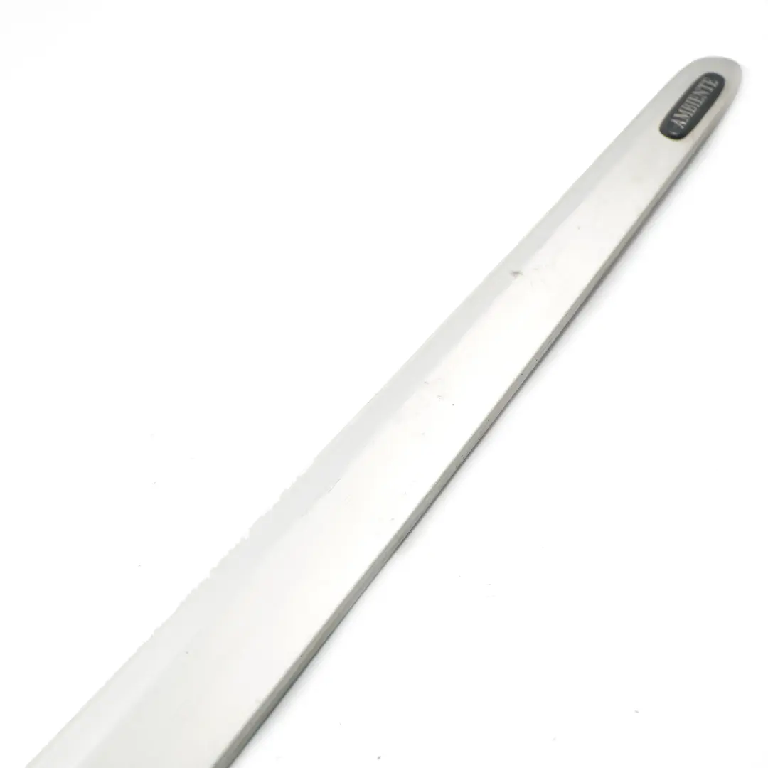 Mercedes W639 Door Moulding Strip Cover Front Right O/S Brilliant Silver - 9744 - SKU A6396900562-BRS - Part number A6396900562