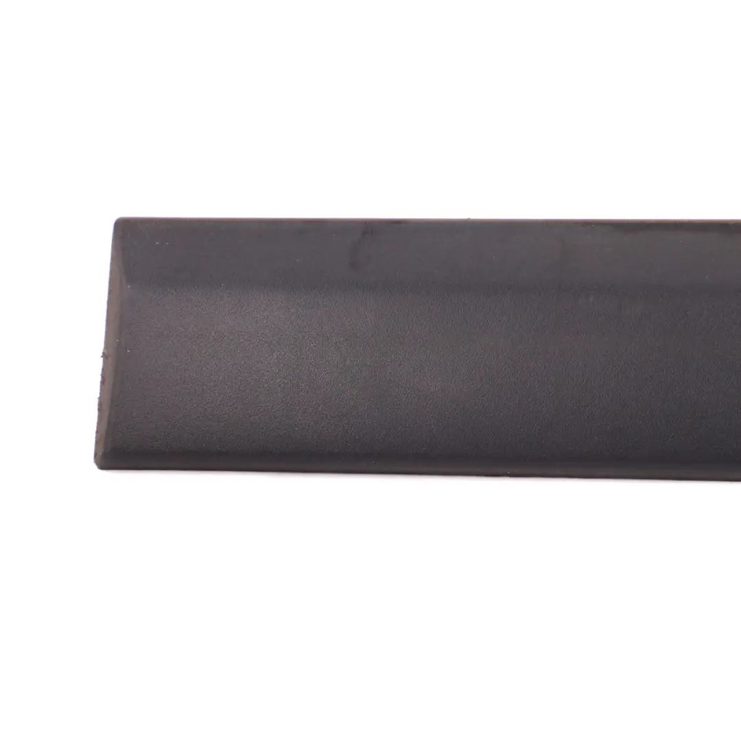 Mercedes Vito W639 Trim Protective Strip Moulding Door Left N/S - SKU A6396901062-1 - Part number A6396901062