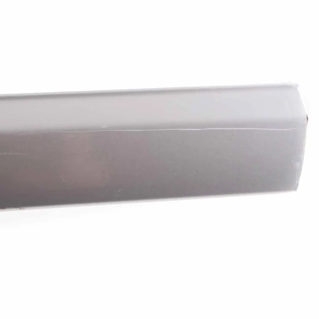 Mercedes W639 Puerta Corredera Izquierda Moldura De Embellecedor Plata Brillante - SKU A6396901262 - Número de pieza A6396901262