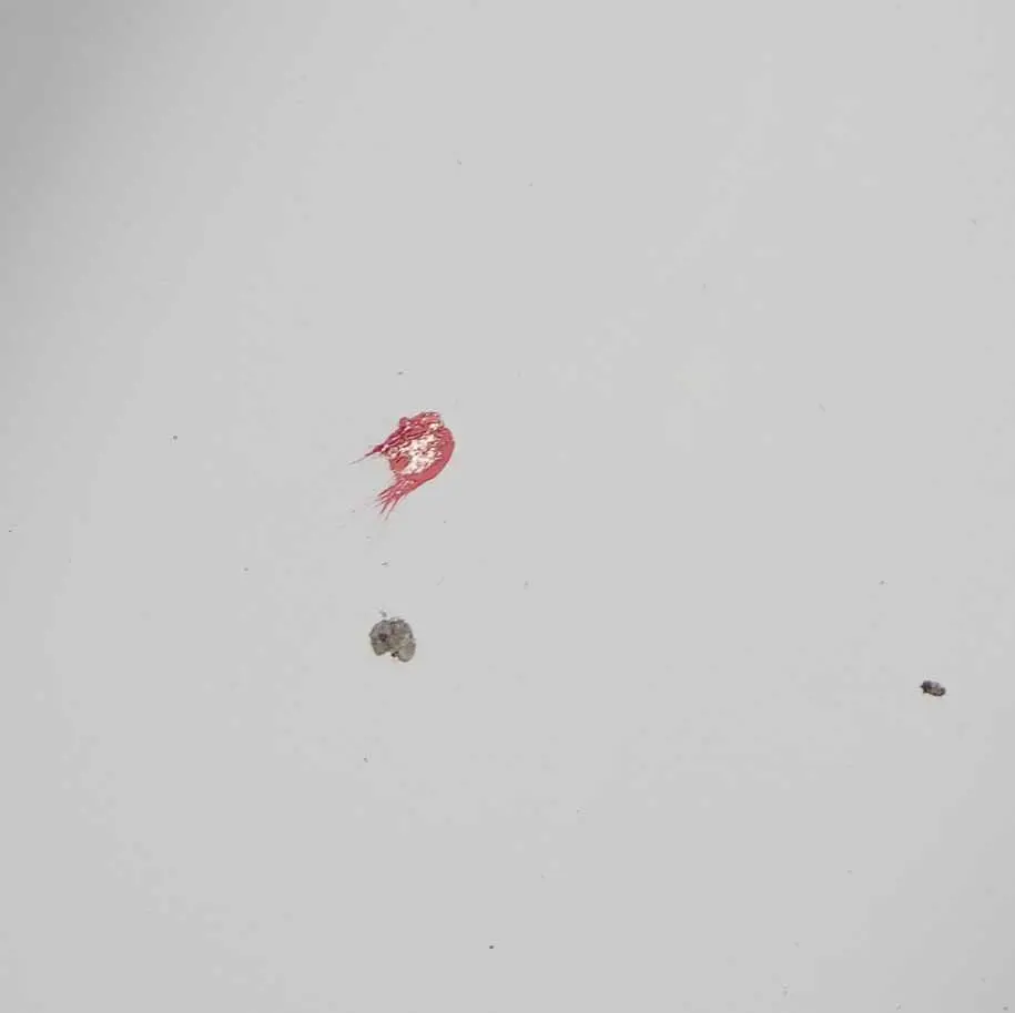 Guscio pannello anteriore sinistro porta N/S Bianco Artico - 9147 per Mercedes W639 con numero di parte A6397201005 Mercedes W639 Guscio pannello anteriore sinistro porta N/S Bianco Artico - 9147 - SKU A6397201005-ARW2 - Numero di parte A6397201005