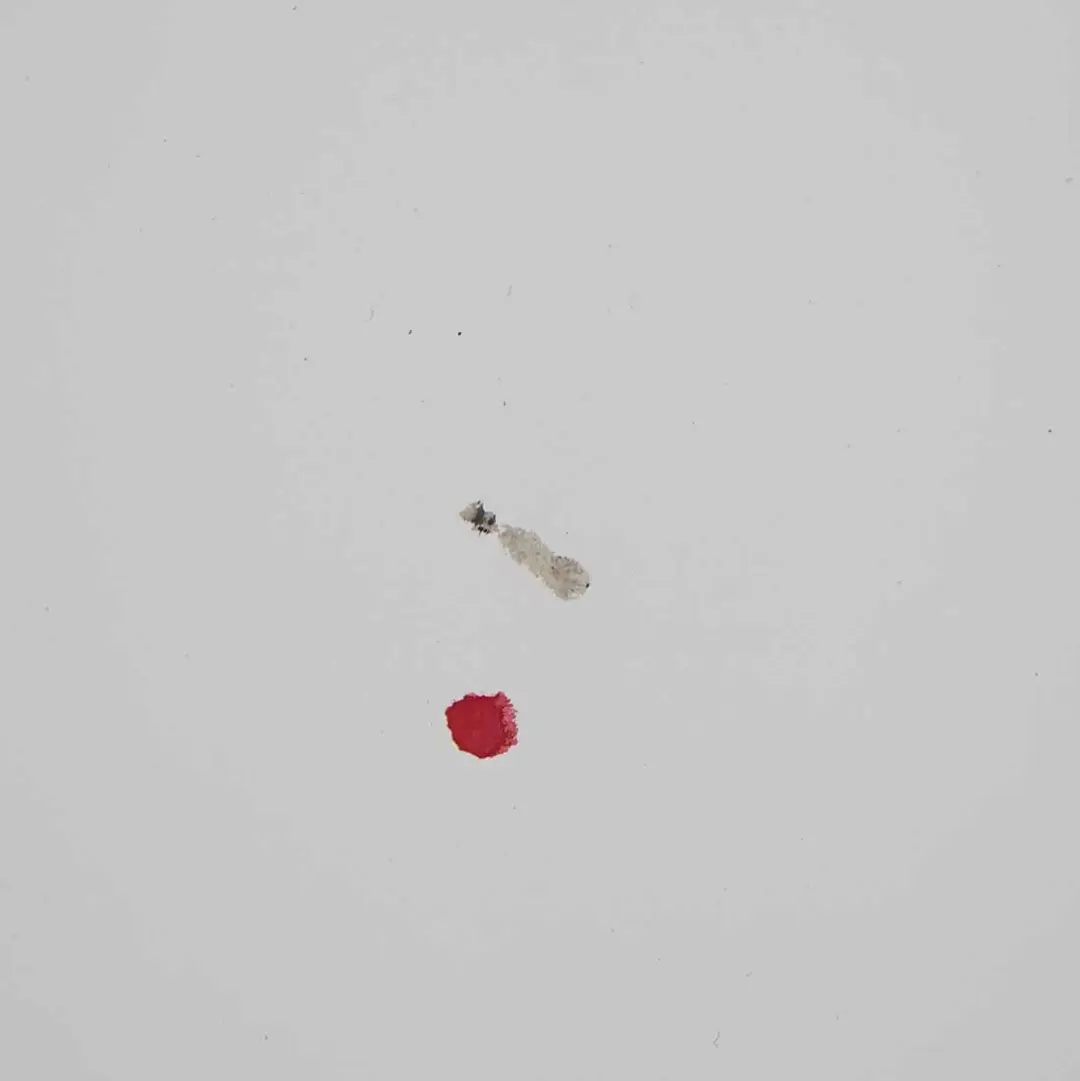 Door Front Left Panel Shell N/S Arctic White - 9147 to Mercedes Vito W639 with Part number A6397201005 Mercedes Vito W639 Door Front Left Panel Shell N/S Arctic White - 9147 - SKU A6397201005-ARW2 - Part number A6397201005