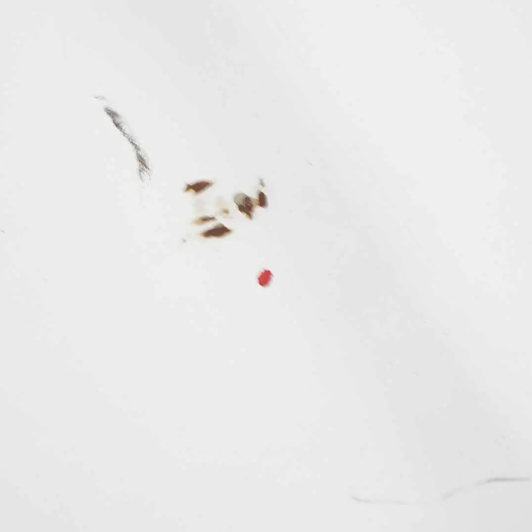 Panneau de porte avant gauche Blanc Arctique - 9147 pour Mercedes Vito W639 à propos du numéro de pièce A6397201005 Mercedes Vito W639 Panneau de porte avant gauche Blanc Arctique - 9147 - SKU A6397201005-ARW3 - Numéro de pièce A6397201005