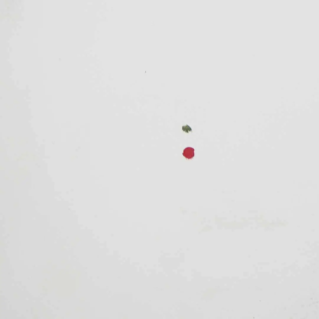 Drzwi Prawe Prawy Przód do Mercedes Vito Viano W639 o numerze A6397201105 Mercedes Vito Viano W639 Drzwi Prawe Prawy Przód - SKU A6397201105-ARW2 - Numer Części A6397201105