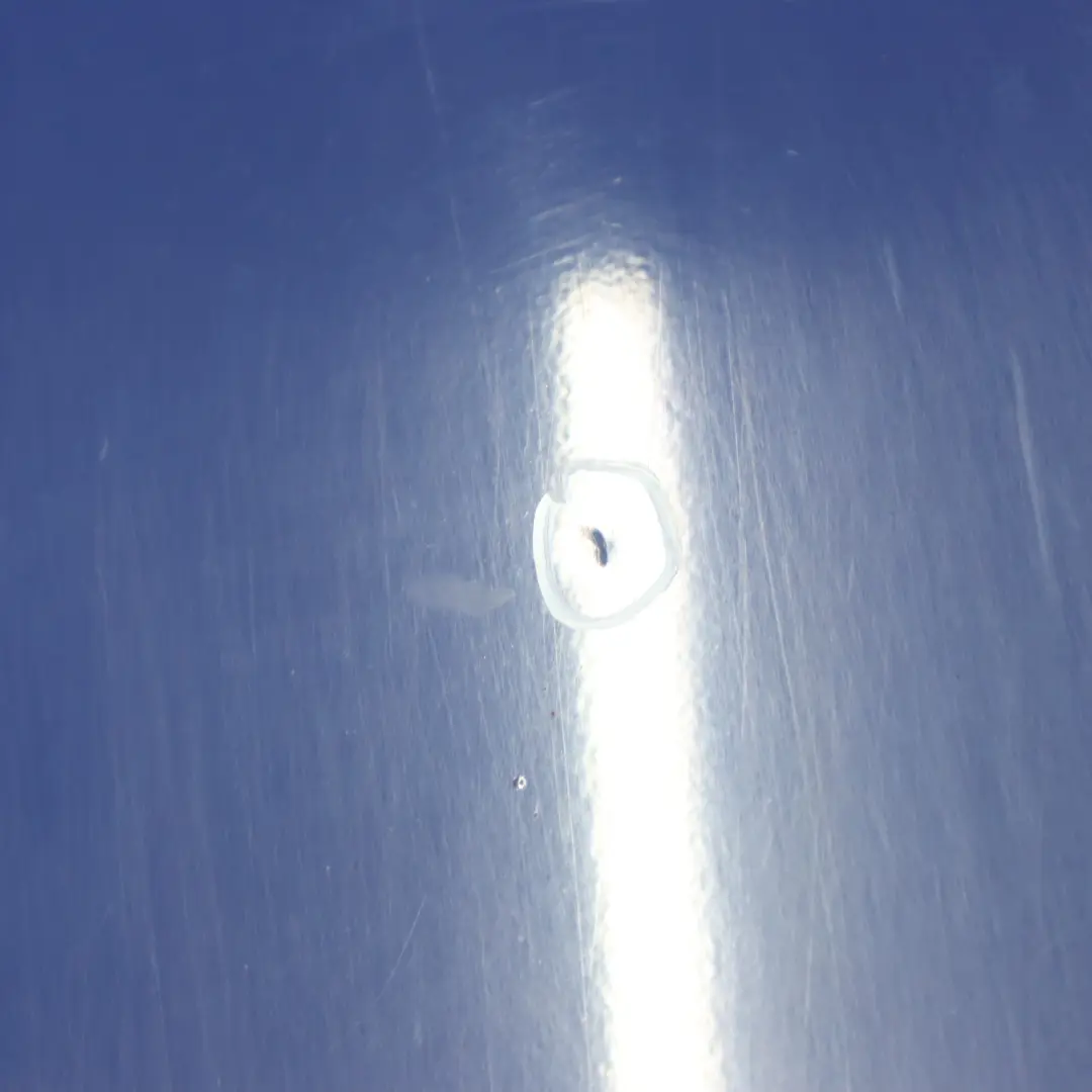 Tür vorne rechts Abdeckplatte Atlantis Blau - 373 für Mercedes Vito W639 mit Teilenummer A6397201105 Mercedes Vito W639 Tür vorne rechts Abdeckplatte Atlantis Blau - 373 - SKU A6397201105-ATB - Teilenummer A6397201105