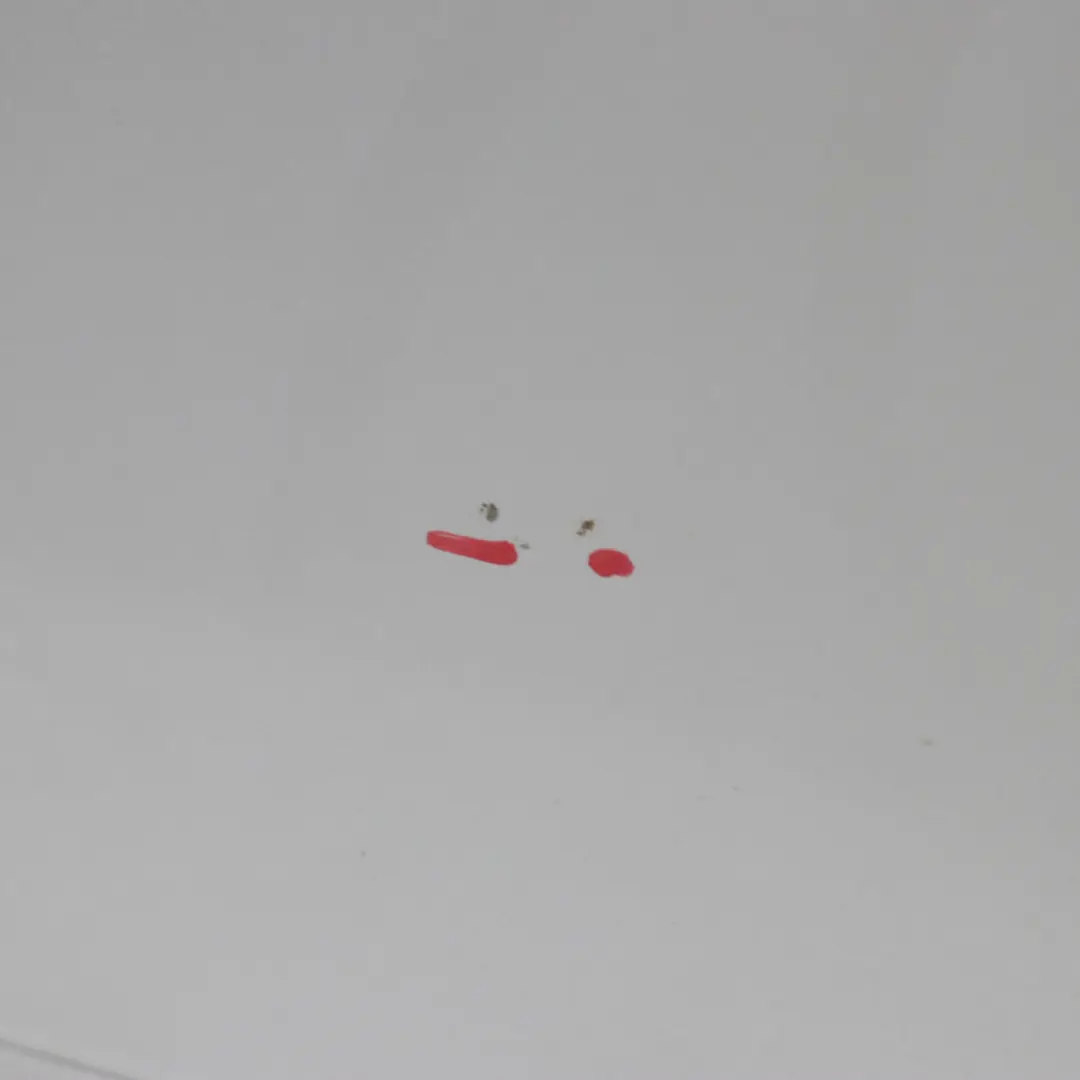 Drzwi Boczne Przesuwne Lewy Tył do Mercedes Vito W639 o numerze A6397302705 Mercedes Vito W639 Drzwi Boczne Przesuwne Lewy Tył - SKU A6397302705-BRS1 - Numer Części A6397302705