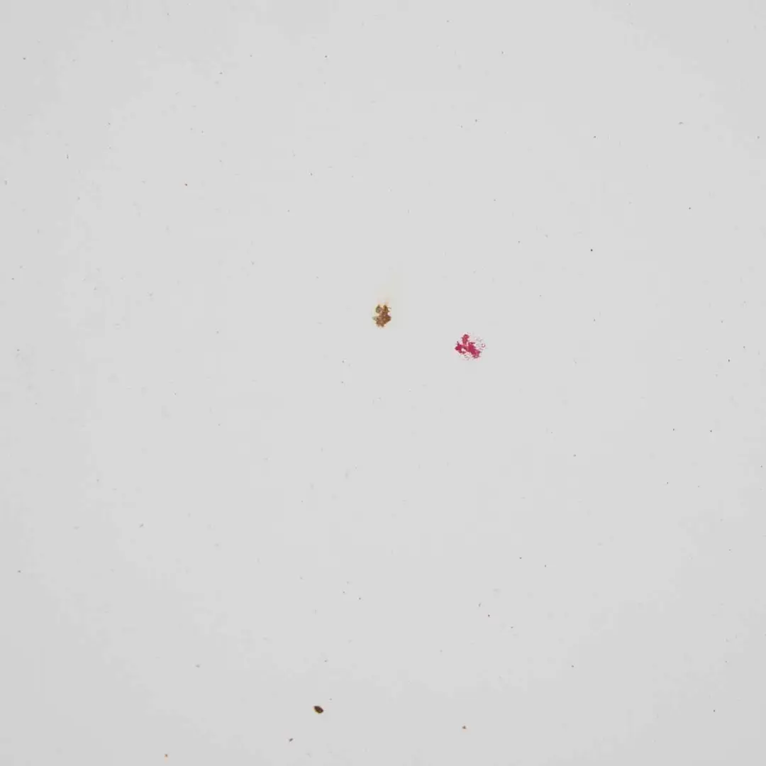 Maska Silnika Arctic White 9147 do Mercedes Vito W639 o numerze A6397500502 Mercedes Vito W639 Maska Silnika Arctic White 9147 - SKU A6397500502-ARW5 - Numer Części A6397500502