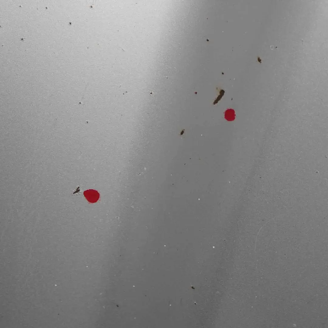 Mercedes W639 Maska Silnika Brilliant Silver 9744 - SKU A6397500502-BRS - Numer Części A6397500502