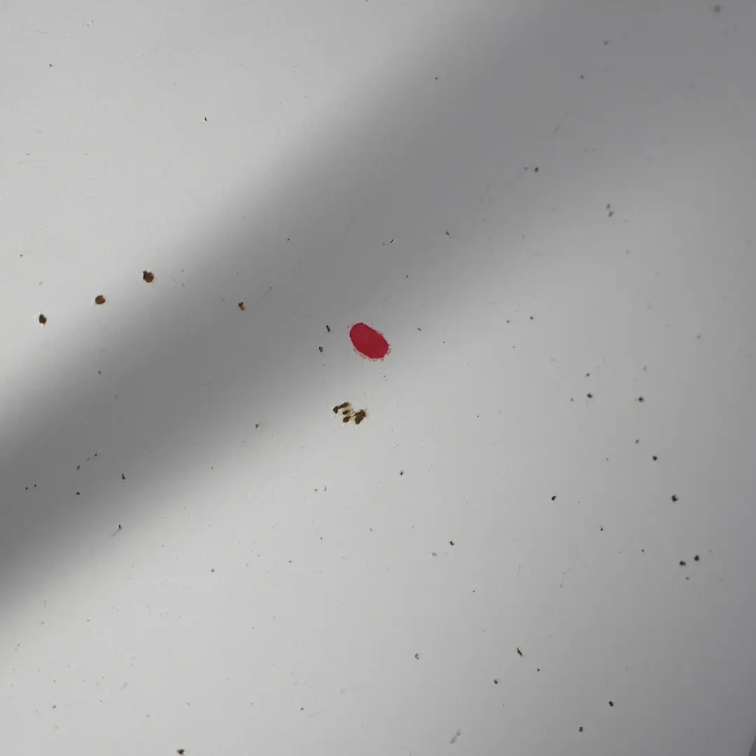 Maska Silnika Brilliant Silver 9744 do Mercedes W639 o numerze A6397500502 Mercedes W639 Maska Silnika Brilliant Silver 9744 - SKU A6397500502-BRS - Numer Części A6397500502