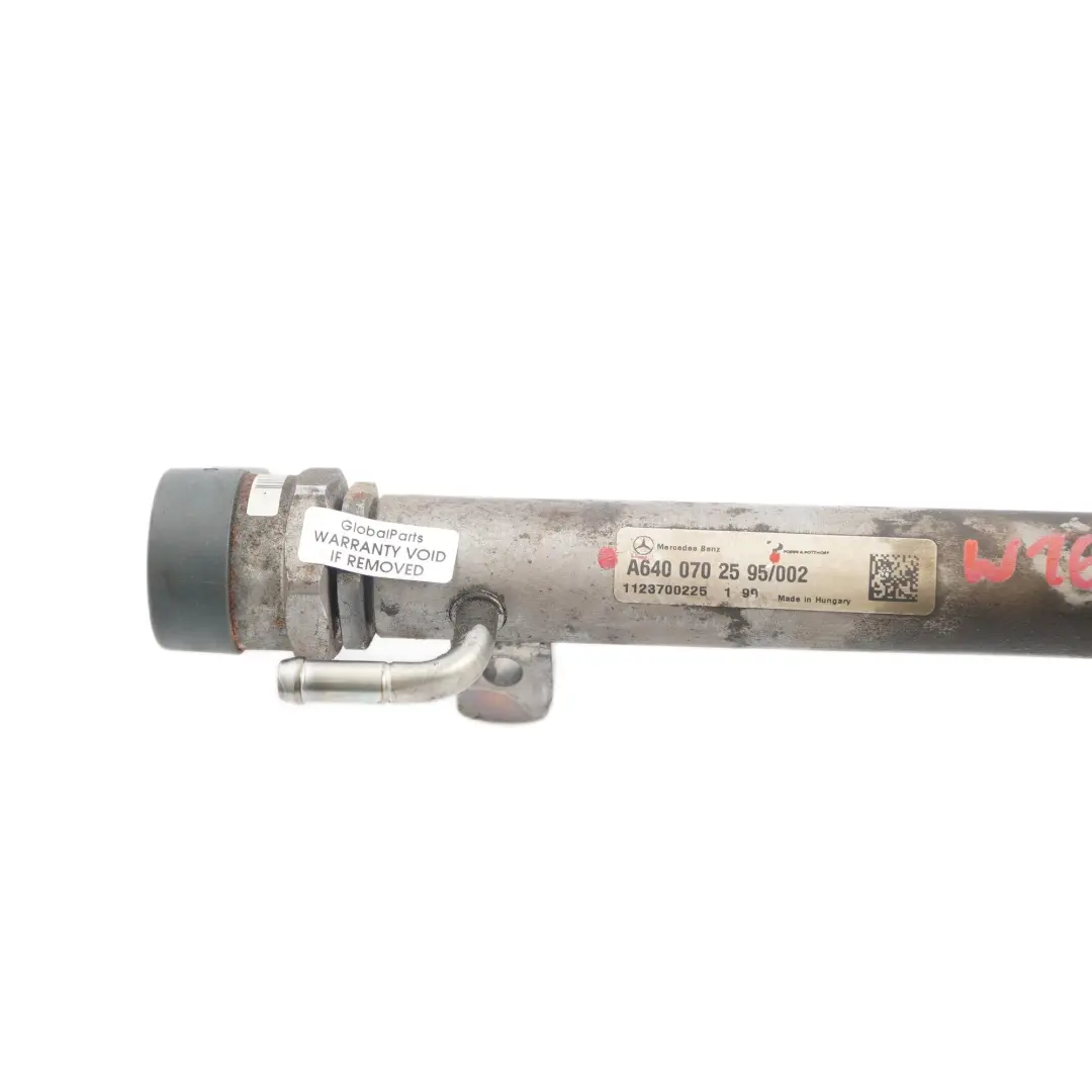 OM640 Inyector Combustible Presión Rail Line para Mercedes W169 W245 con número de pieza A6400702595 Mercedes W169 W245 OM640 Inyector Combustible Presión Rail Line - SKU A6400702595 - Número de pieza A6400702595