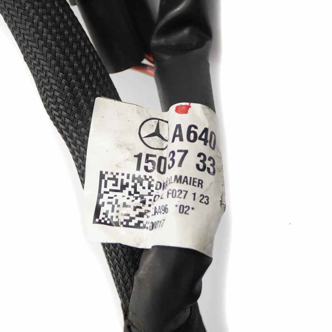  Cableado Motor Mercedes W169 W245 Mazo De Cables Módulo Inyector - SKU A6401503733 - Número de pieza A6401503733