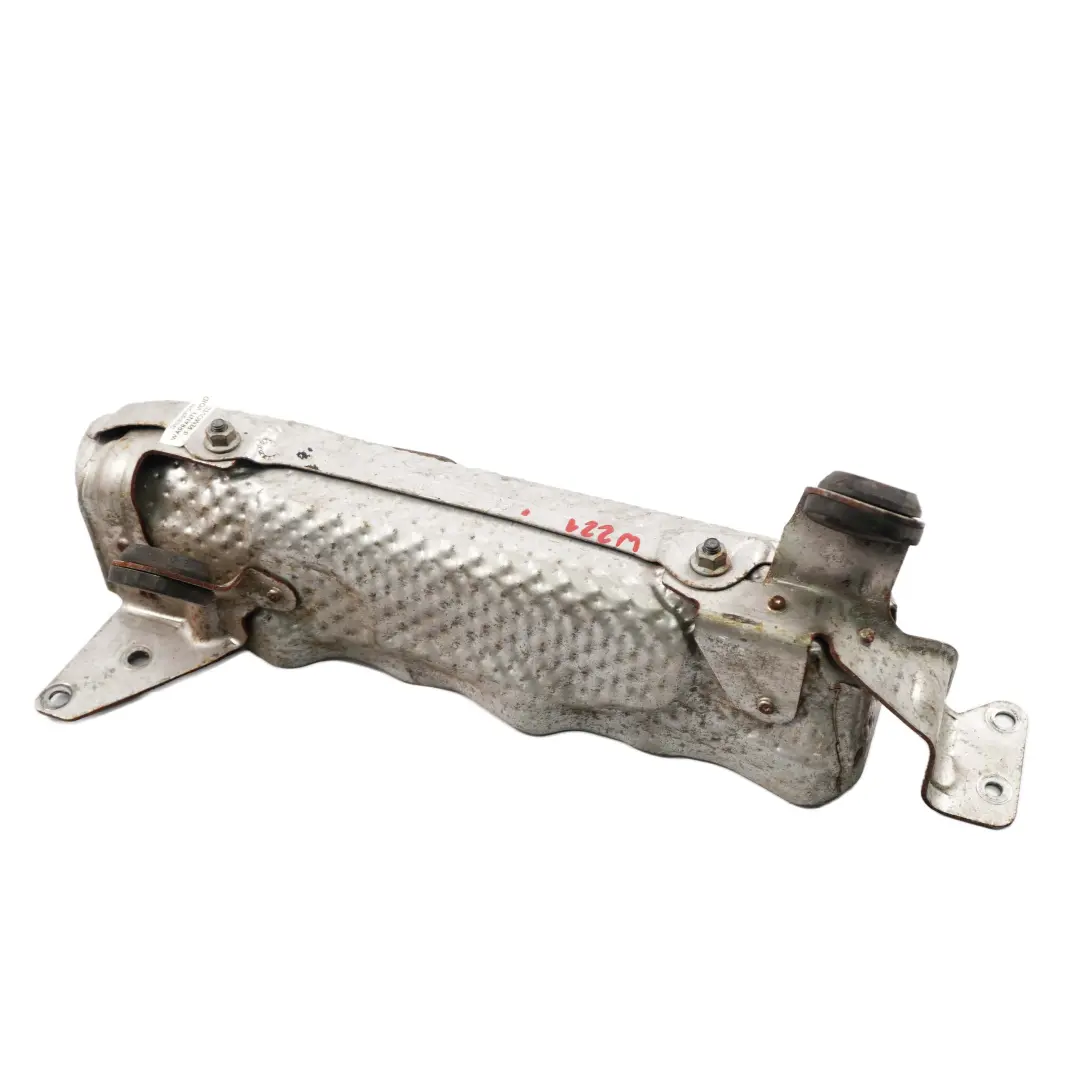 W207 W221 OM642 Motore Diesel Scudo Termico Parafango SX per Mercedes C E S W204 con numero di parte A6420902941 Mercedes C E S W204 W207 W221 OM642 Motore Diesel Scudo Termico Parafango SX - SKU A6420902941 - Numero di parte A6420902941