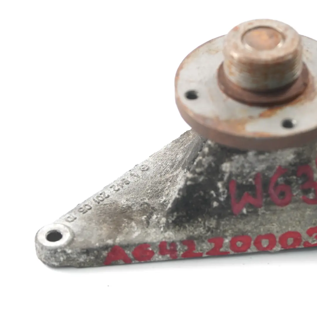 Alloggiamento Mercedes Vito W639 OM642 Tendicinghia Cuscinetto per con numero di parte A6422000420 Alloggiamento Mercedes Vito W639 OM642 Tendicinghia Cuscinetto - SKU A6422000300 - Numero di parte A6422000420