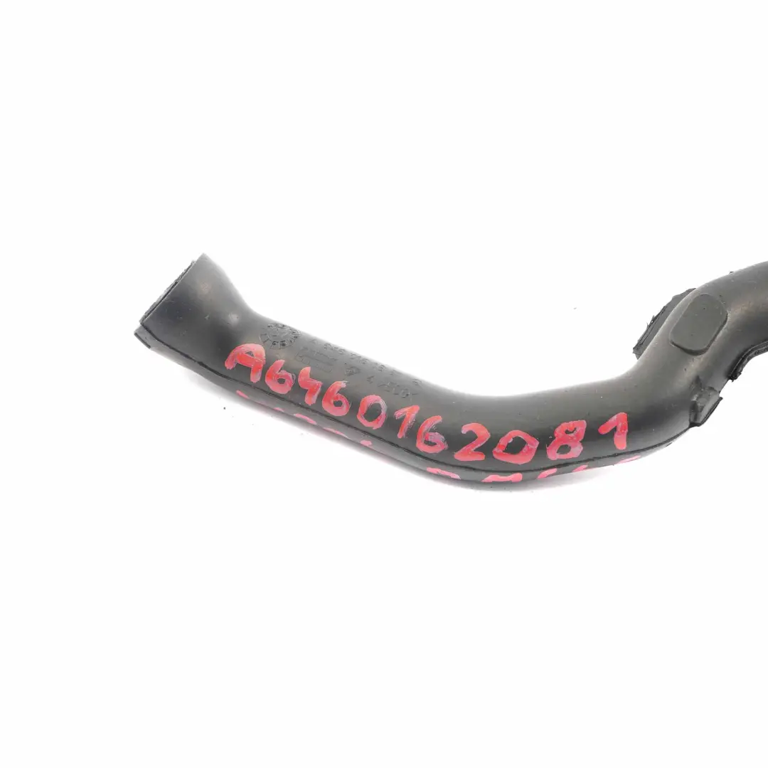 OM651 Tuyau d'Event Culasse pour Mercedes W204 W212 à propos du numéro de pièce A6460162081 Mercedes W204 W212 OM651 Tuyau d'Event Culasse - SKU A6460162081 - Numéro de pièce A6460162081