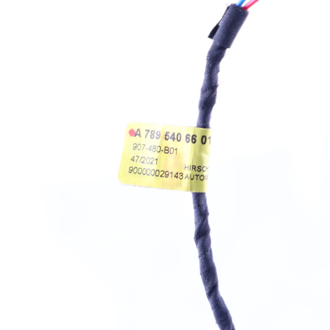 Socket Wiring Plug Loom Orange to Mercedes H243 EQA with Part number A7895406601 Mercedes H243 EQA Socket Wiring Plug Loom Orange - SKU A7895406601 - Part number A7895406601