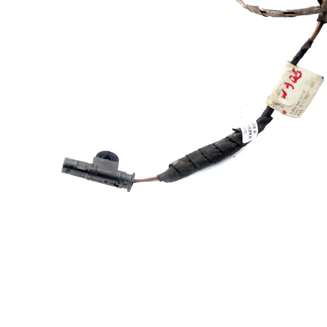  Mercedes-Benz Sprinter W906 Cable cablage l'eclairage plaque porte arriere - SKU A9065400113 - Numéro de pièce A9065400113