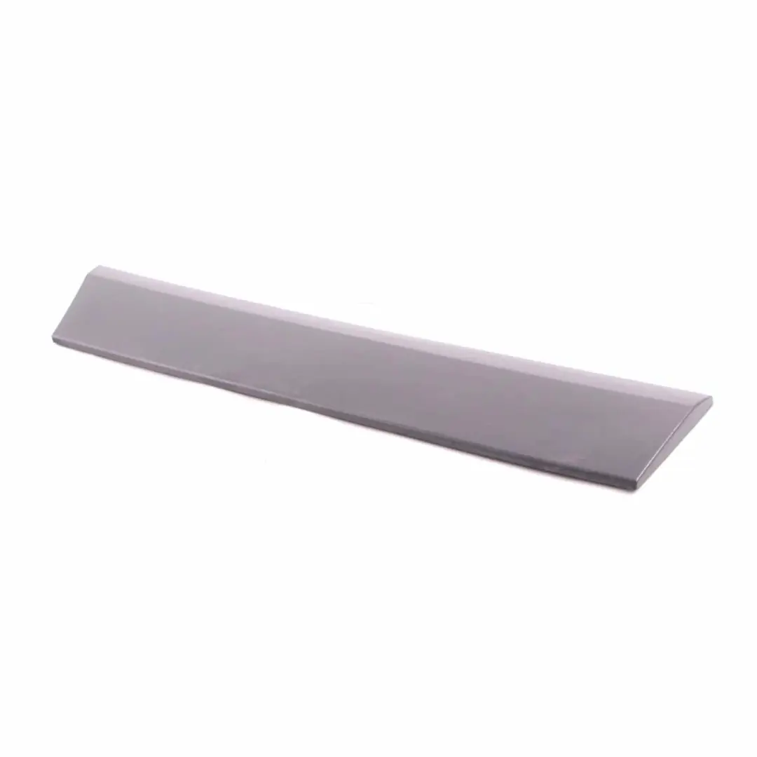 Mercedes Sprinter W906 Moulure de Porte Avant Gauche Bande de Protection - SKU A9066900400 - Numéro de pièce A9066900400