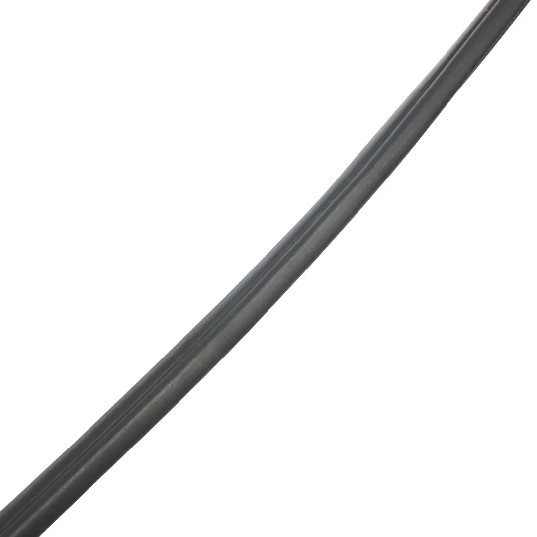  Guarnizione porta Mercedes W906 Sprinter anteriore sinistra destra Nero - SKU A9066976098 - Numero di parte A9066976098