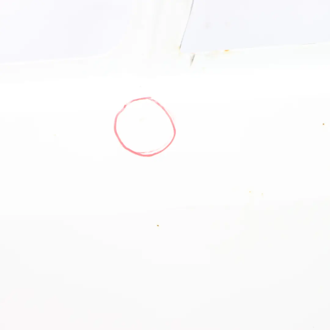 Drzwi Lewe Przednie Arctic White Biały - 9147 do Mercedes Sprinter W906 o numerze A9067200005 Mercedes Sprinter W906 Drzwi Lewe Przednie Arctic White Biały - 9147 - SKU A9067200005-ARW - Numer Części A9067200005